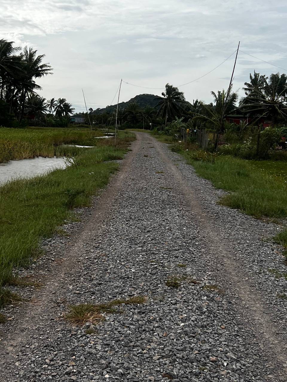 Urgent Land Sale near Prek Thom, Kampot